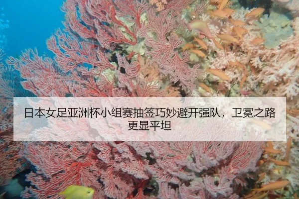 ri-ben-nv-zu-ya-zhou-bei-xiao-zu-sai-chou-qian-qiao-miao-bi-kai-qiang-dui-wei-mian-zhi-lu-geng-xian-ping-tan-2-644.jpg