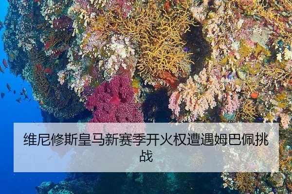 维尼修斯皇马新赛季开火权遭遇姆巴佩挑战